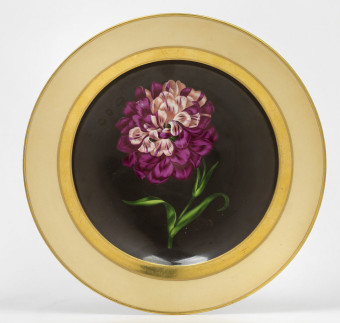 Sammeln, Kaufen, Schenken Der Blumenkaiser Deutsch