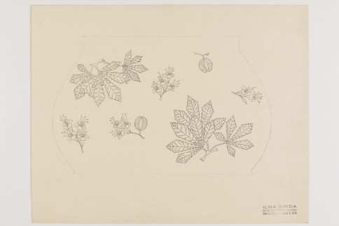 Entwurf: Zwei Seiten einer Vase mit Kastaniendekor, Ilma Dinda, um 1950