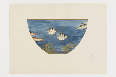 Entwurf: Fischschale