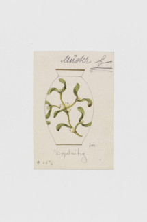 Entwurf: Vase mit Mistelzweig