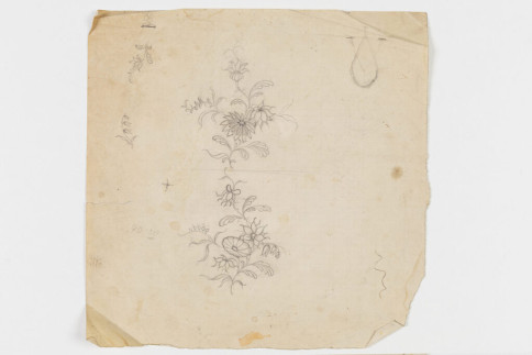 Entwurf: Studien "Indianische" Blumen nach Vorbildern der Zeit um 1725