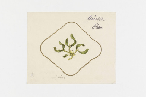 Entwurf: Ascher mit Mistelzweig, Entwerfer:in Urban